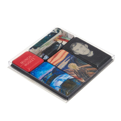 Set de imanes de resina